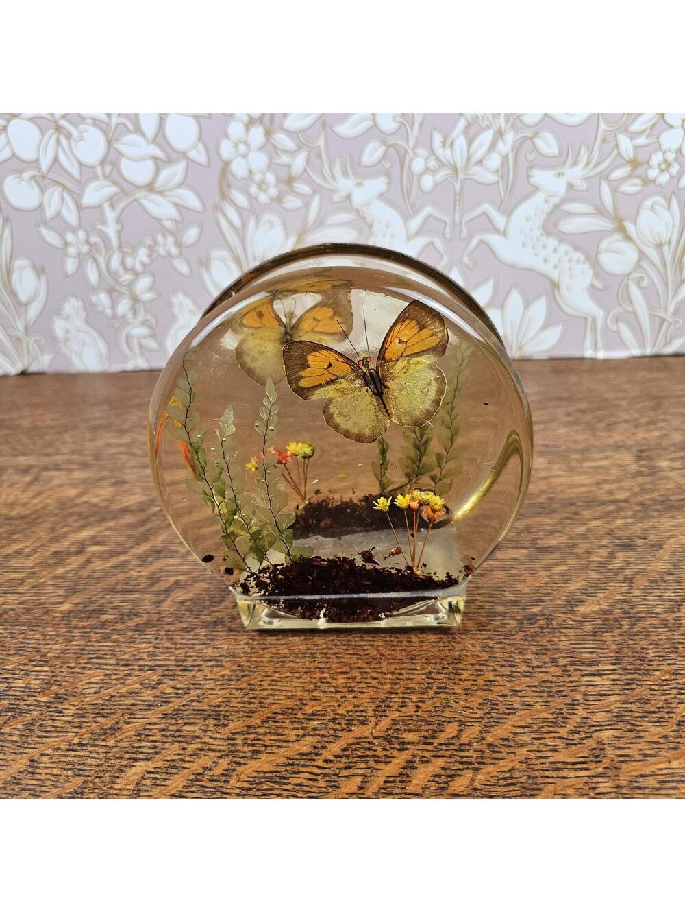 Vintage Lucite Real Butterfly Letter Holder Resin Napkin Holder Nature Diorama - Picture 6 of 11